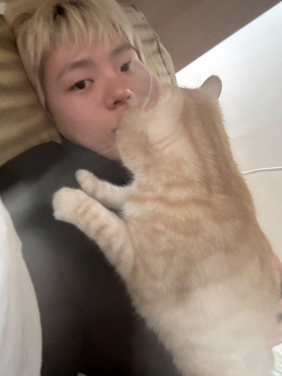 chikiKII_'s tweet photo. ㅁㅊ🤤🤤🤤🤤🤤🤤🤤🤤🤤🤤🤤🤤🤤🤤🤤🤤🤤🤤🤤🤤🤤 https://t.co/g6iW8du4IE