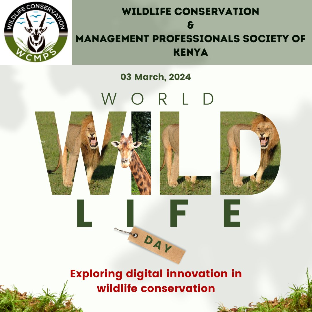 This day is a reminder that we have a shared responsibility to protect and preserve the world's biodiversity. Cheers to @KWSKenya and conservation stakeholders for the continued commitment to preserve our heritage. #TunzaMaliYako #WWD2024 #DigitalInnovation