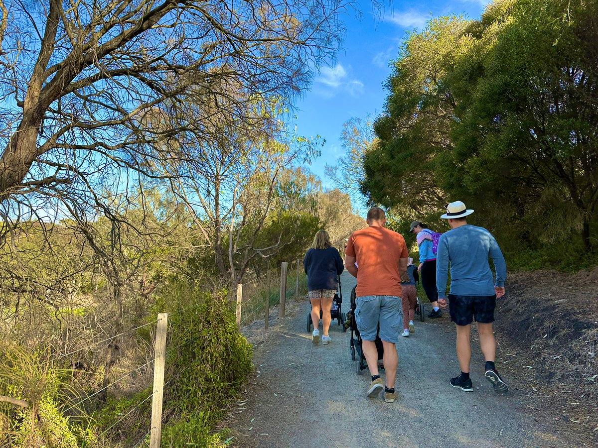 subbie's tweet photo. Beautiful Fyansford/Geelong morning to walk #MelanomaMarch to raise funds & awareness for melanoma prevention, treatment & research @MelanomaAus People can still donate here if keen/able to: https://t.co/LR8FCU10cS #GameonMole https://t.co/gis9K1b7rh