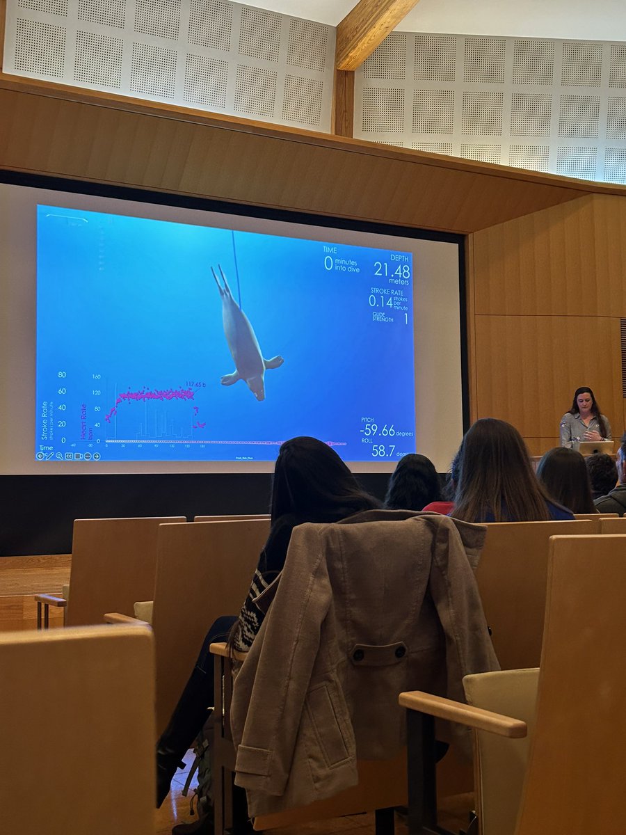 Amazing workshop from <a href="/jmkendallbar/">Jessica Kendall-Bar</a> at #bls8! Animation is one of the best tools we have for broad outreach of biologging data <a href="/biologging/">Intl Bio-Logging Soc</a>