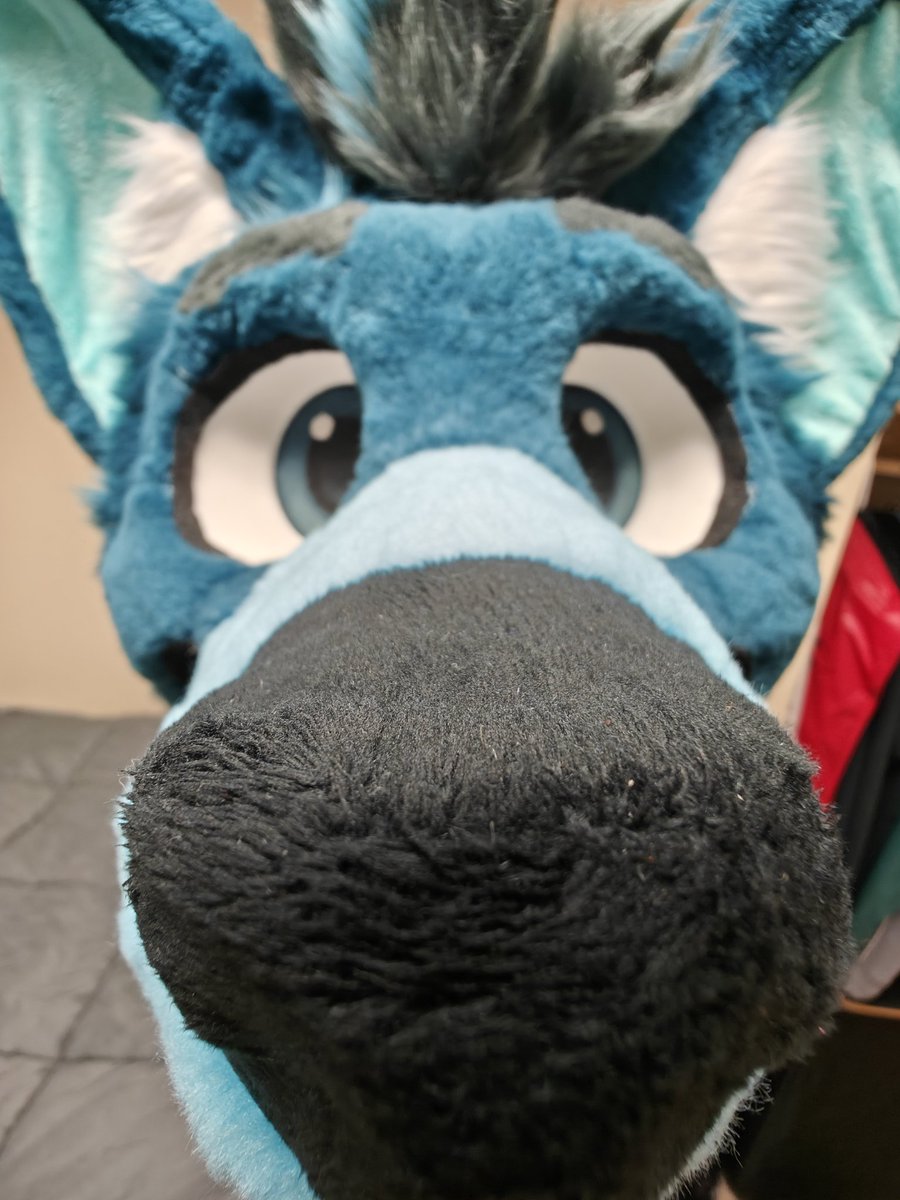 Storm Wusky ✨🔜 FWA tweet media