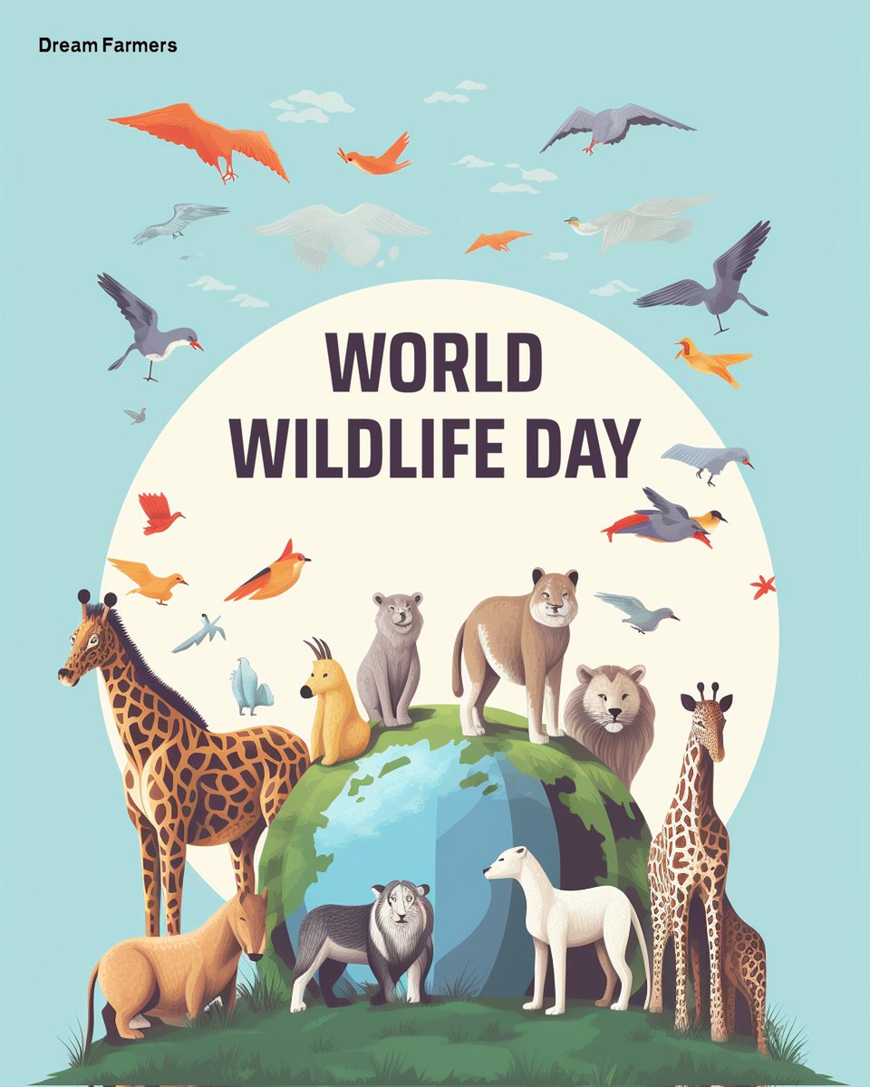 'Every creature has a story to tell, and on #WorldWildlifeDay, let's listen. From the smallest insect to the mightiest mammal, let's cherish and protect the incredible biodiversity that makes our world so remarkable.' 🌿🦁 Happy World Wildlife Day ✨