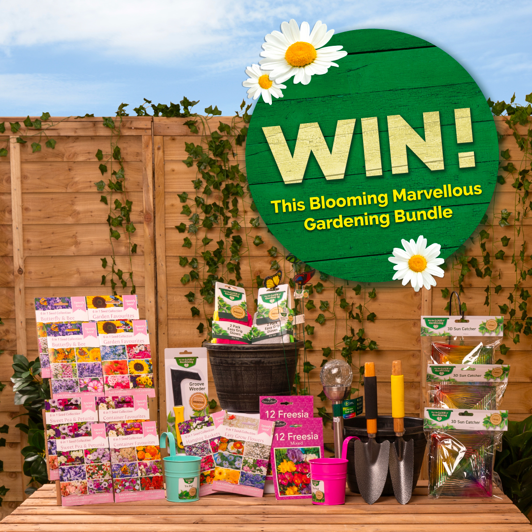 ***𝑾𝑰𝑵*** Be one of the 12 lucky winners to dig out this Blooming Gardening Giveaway!🥳 Make your garden a flower paradise with this amazing bundle!! To win, Like👍& Repost Follow @poundstretcher1, Tag your gardening buddies below🥰 Last Day to Entry: 08/03/2024 12PM