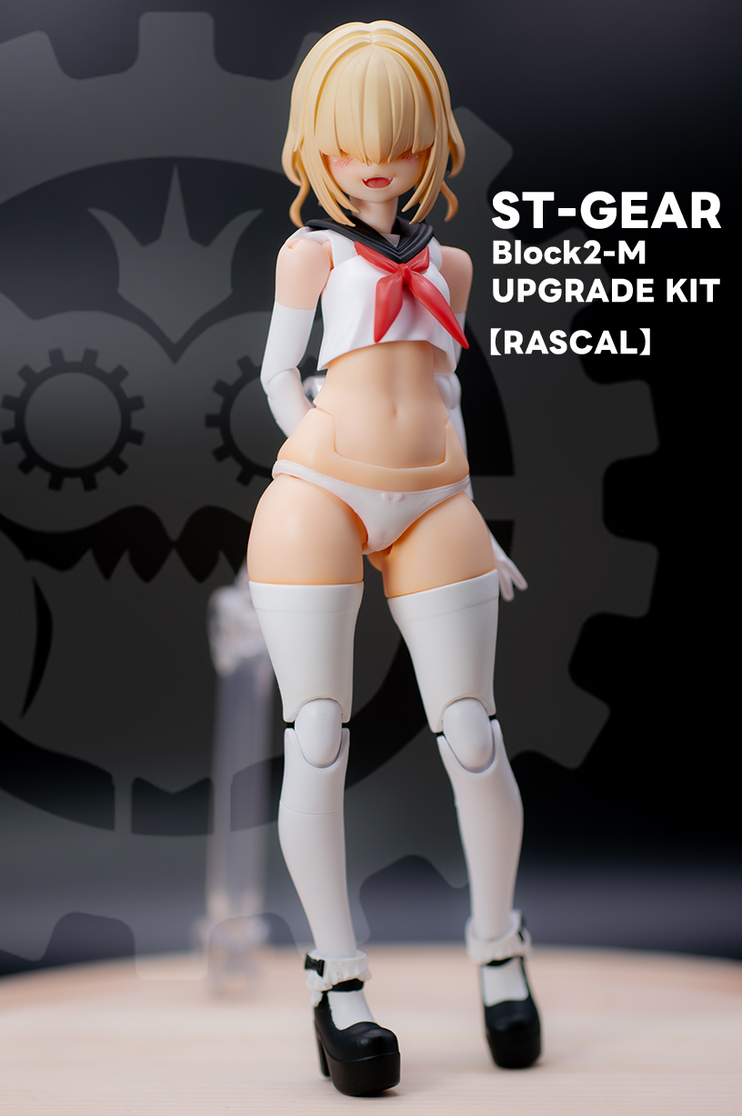 ST-GEAR on X: 