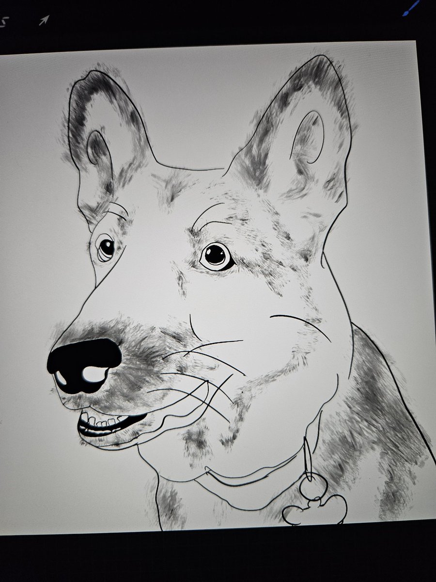 Faudwyn's tweet photo. I finally got a pencil for my iPad! Trying to learn how to use procreate by doodling my puppies. https://t.co/9AdoQCImLa