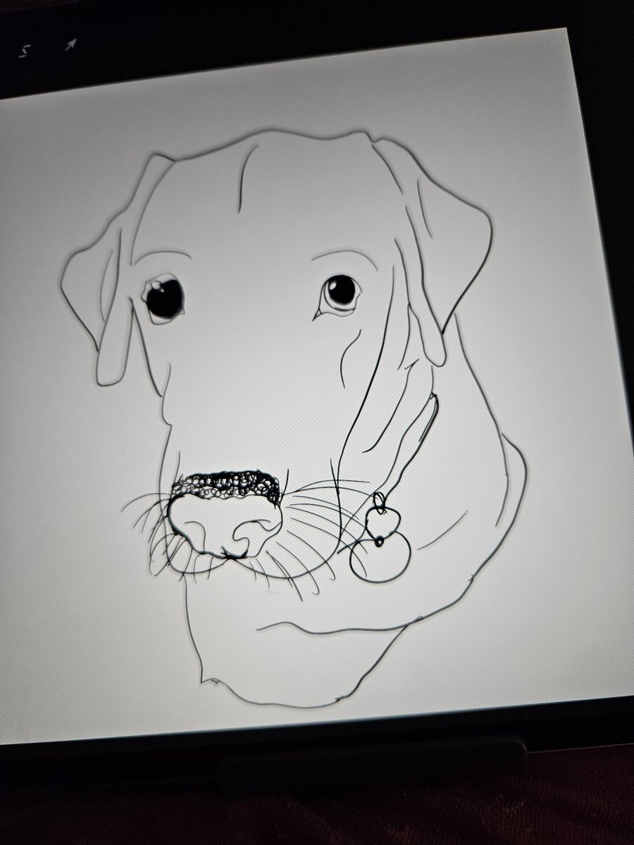 Faudwyn's tweet photo. I finally got a pencil for my iPad! Trying to learn how to use procreate by doodling my puppies. https://t.co/9AdoQCImLa