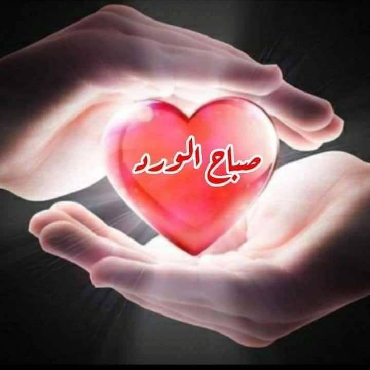 ArabHany's tweet photo. @MymtRwz Happy birthday 🎂 https://t.co/MZAoBVorYo