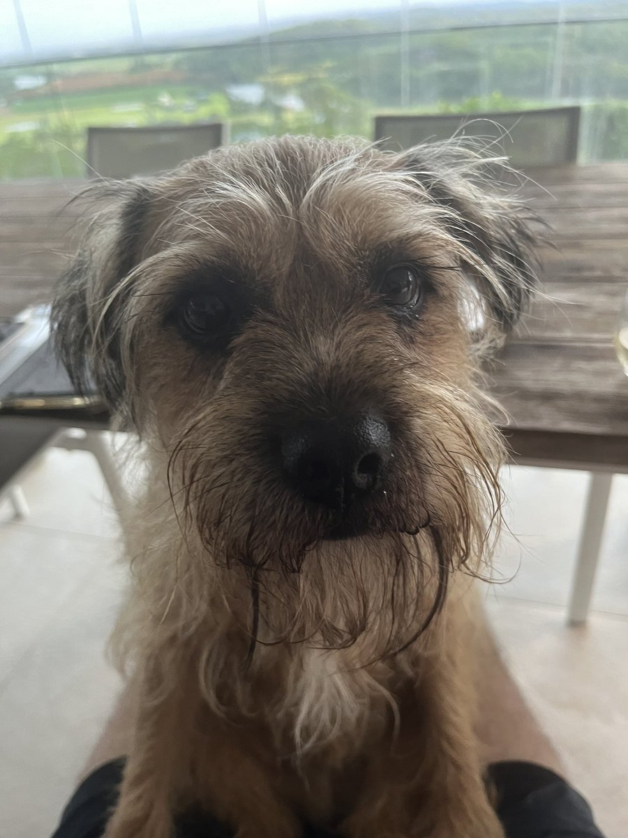 Haven’t posted for a while so just wanted to check in and say hi pals #BTPosse