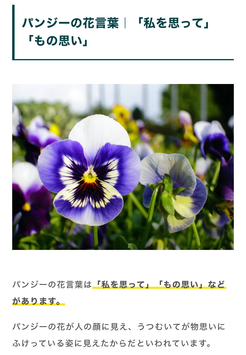 1104_oshi's tweet photo. どうでもいいことですが、、

私のPansyという名は高1から始めたバウンティのユーザー名から使っており、パンジーという花の名から英語で名付けました。
バウンティをインストールした理由が片思いの人に勧められたからです🫣
花言葉からこのPansyという花の名にしようと決め、今も使っています🍀*゜ https://t.co/htdydVTvcF