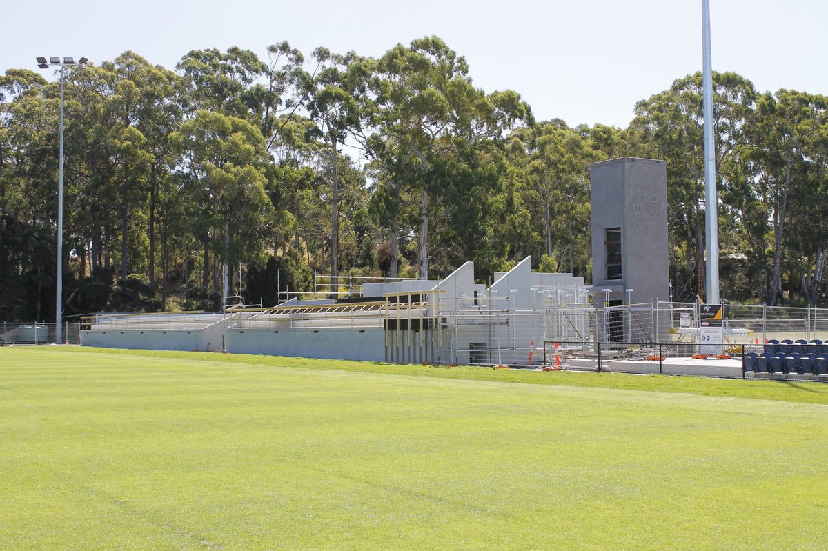 Devonport Strikers tweet media