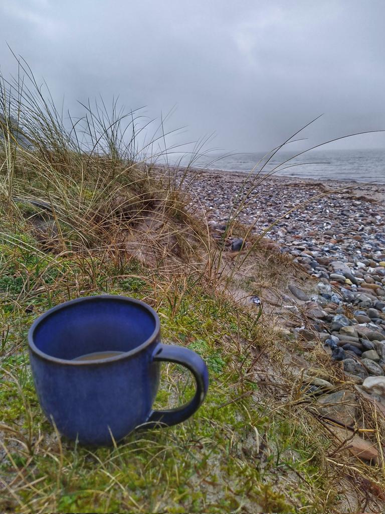 TartanElch tweet media