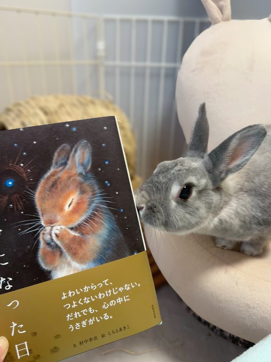 しらとあきこ on X