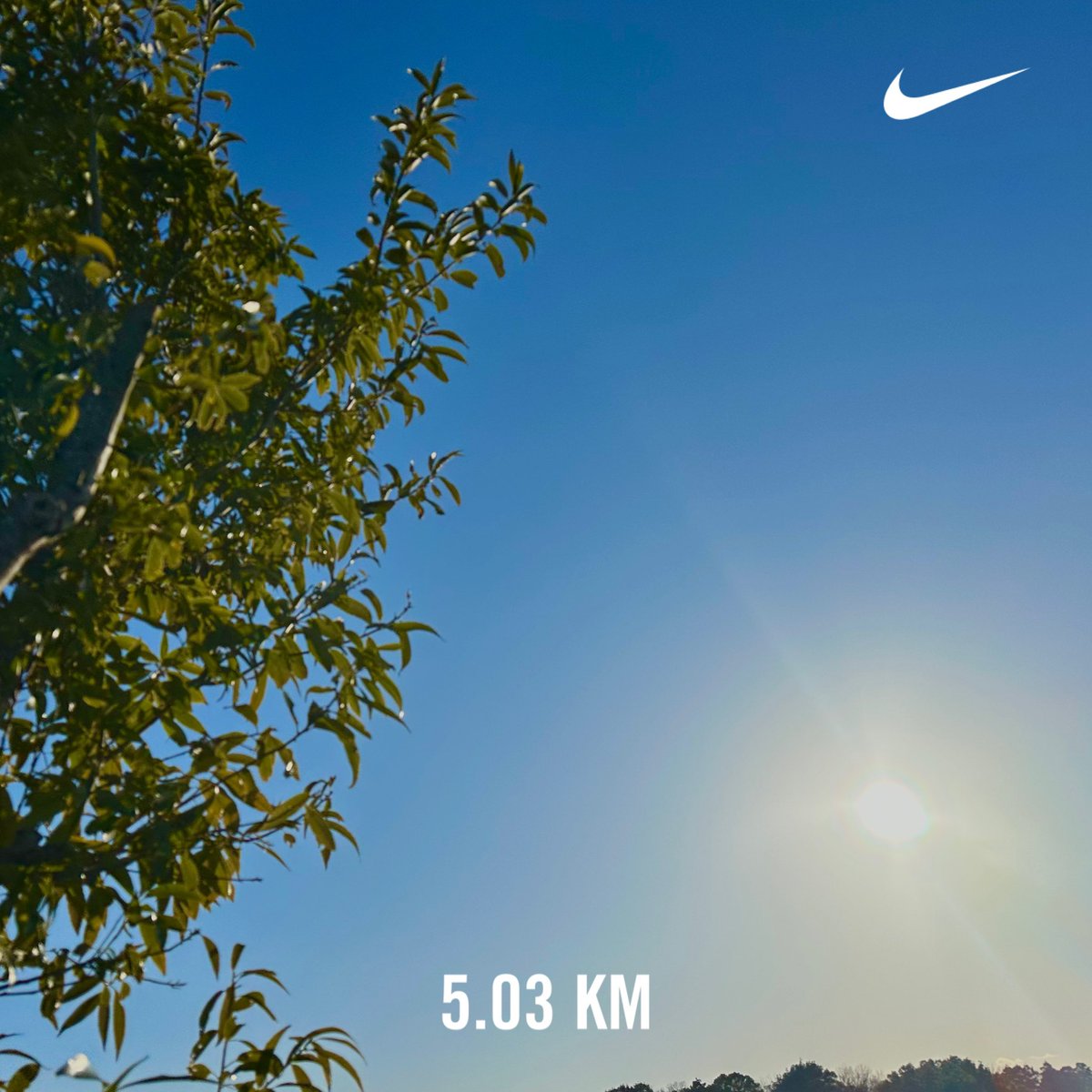 grapesurf's tweet image. 日曜午後の(*´д｀*)ﾊｧﾊｧﾈｷﾞ♡

Ijust ran 5.00km with #nikerun  #nikegps
