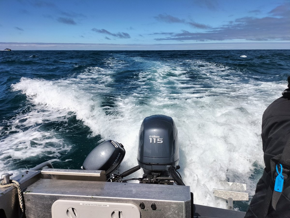 Our Canterbury Wave Monitoring Network <a href="/Sofarocean/">Sofar Ocean</a> #Spotter at Kaikoura is now live again. Free live ocean conditions are available every 30 mins along with open access historic partitioned wave data for all:
canterburywaves.co.nz