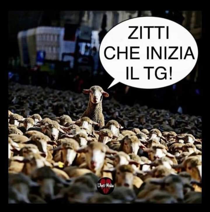 itsmeback_'s tweet photo. Il cervello è un organo straordinario,
inizia a funzionare da prima che nasci e smette da quando inizi a guardare la TV. https://t.co/OokBaPcCMN