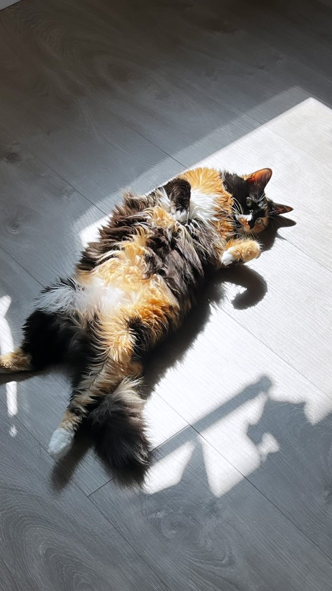 Who wants to join my sunbath?