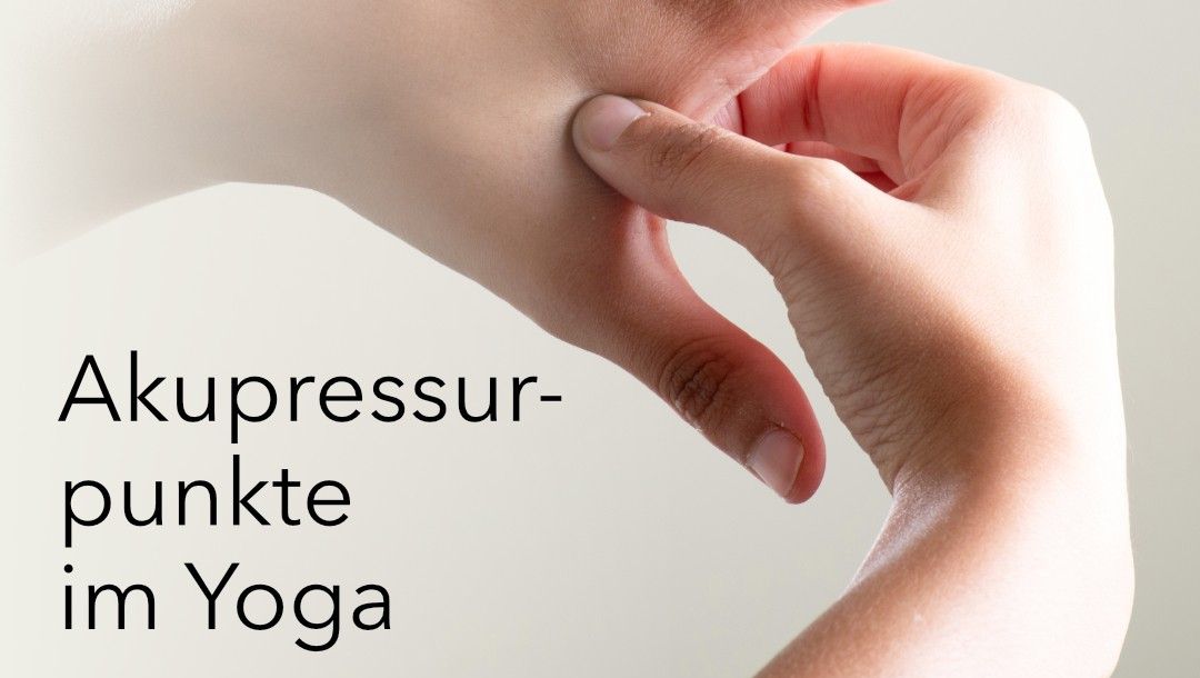 TCM und Yoga bei YOGAMOUR plus! ☯️

👉🏼 plus.yogamour.de/akupressur-und…

Insgesamt 230 Min. Videomaterial zu Yoga mit den Jahreszeiten und entsprechenden Elementen, außerdem einfache Tipps zum Anwenden einfacher Akupressurpunkte in Yoga āsanas. Try it!

#yoga #tcm #akupressur