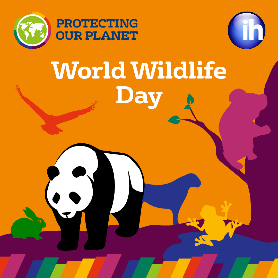 IHWorld's tweet photo. 🦒🦜🐋 Happy World Wildlife Day! 🦍🦧🦁🐅

United Nations World Wildlife Day (WWD) is celebrated every year on 3 March to celebrate wild animals and plants.

How can you celebrate World Wildlife Day in the classroom?

#ihworld #WWD2024 #ConnectingPeopleAndPlanet https://t.co/zfN1HcOUHd