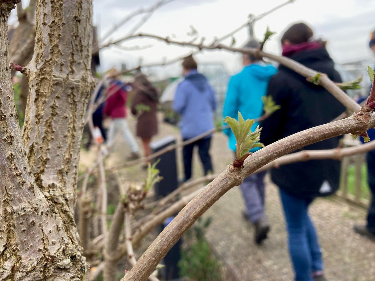 W I N T E R T R E E I D 🌳 This week volunteers and staff spent an incredibly informative day learning the basics of winter tree ID. 💚 Thank you to @chilternrailway Community Investment Fund for their grant which is helping train both staff and volunteers.