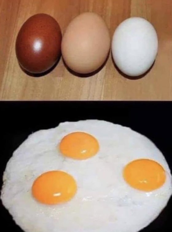 Michael Morgan tweet media