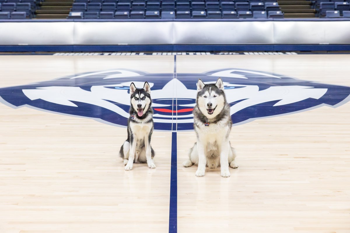 Today is the day! During halftime at the <a href="/UConnMBB/">UConn Men's Basketball</a> game, <a href="/JonathanHusky_/">Jonathan the Husky</a> XIV will officially retire as mascot and pass his duties to Jonathan XV. XIV will still be around as he serves in a "mascot emeritus" role, but today begins the Jonathan XV era! today.uconn.edu/2024/02/with-t…