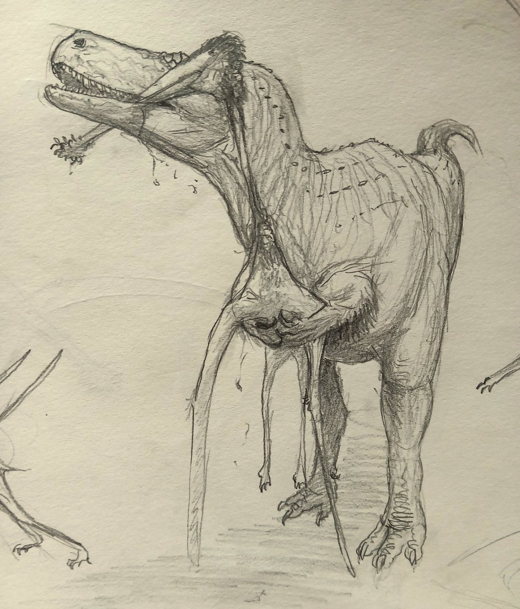 A large Lusognathus almadrava serves as a tasty snack for this hungry Torvosaurus gurneyi