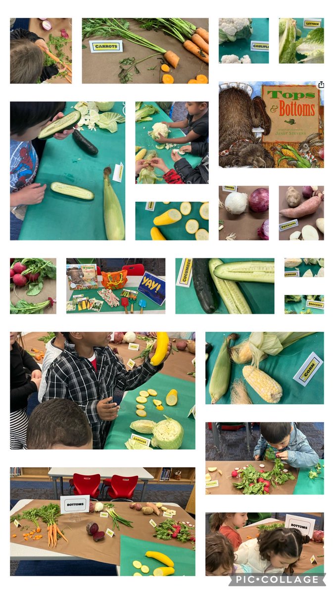 ⁦@NISDGlenoaks⁩ PK students ended the Farm to Table Unit by exploring the tops and bottoms of a variety of vegetables 🤗🥕 They also enjoyed listening to the story Tops & Bottoms by Janet Stevens❤️📚⁦@golibrary103⁩ ⁦@NISDLib⁩ ⁦@NISD⁩