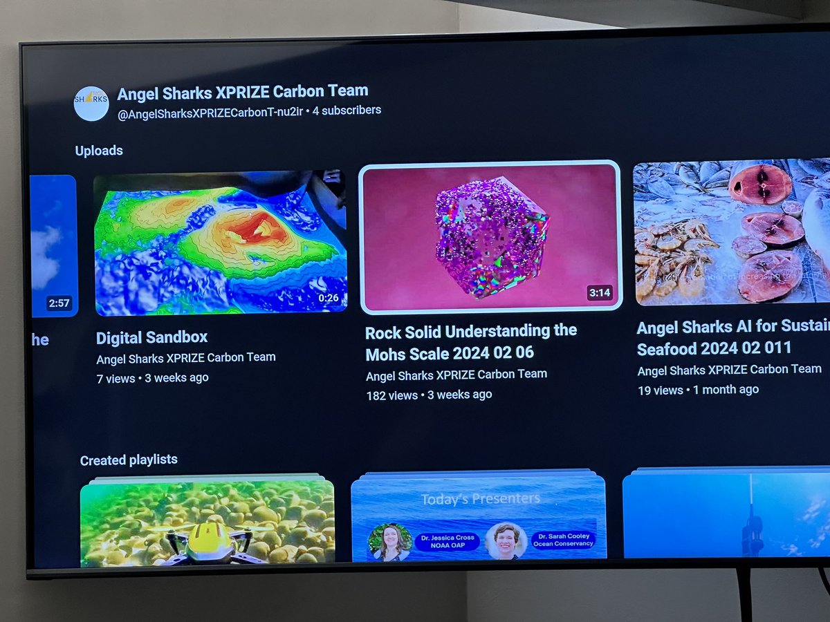 mentorcapital1's tweet image. subscribe to Angel Sharks XPRIZE Carbon removal on YouTube