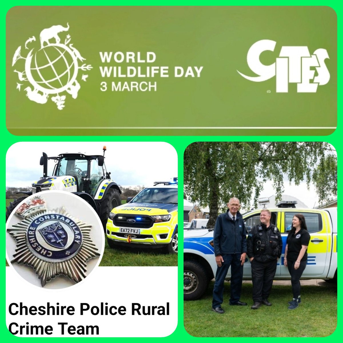 WORLD WILDLIFE DAY 2024
Being a #Wildlife cop is special A dedicated team or working with agencies nothing quite beats all of us coming together to bring wildlife offenders to justice.
@naturewatchfoundation @rspca_official @WildlifeDay
#wildlifecop #wildlifecrime #wwd2024 #WWF