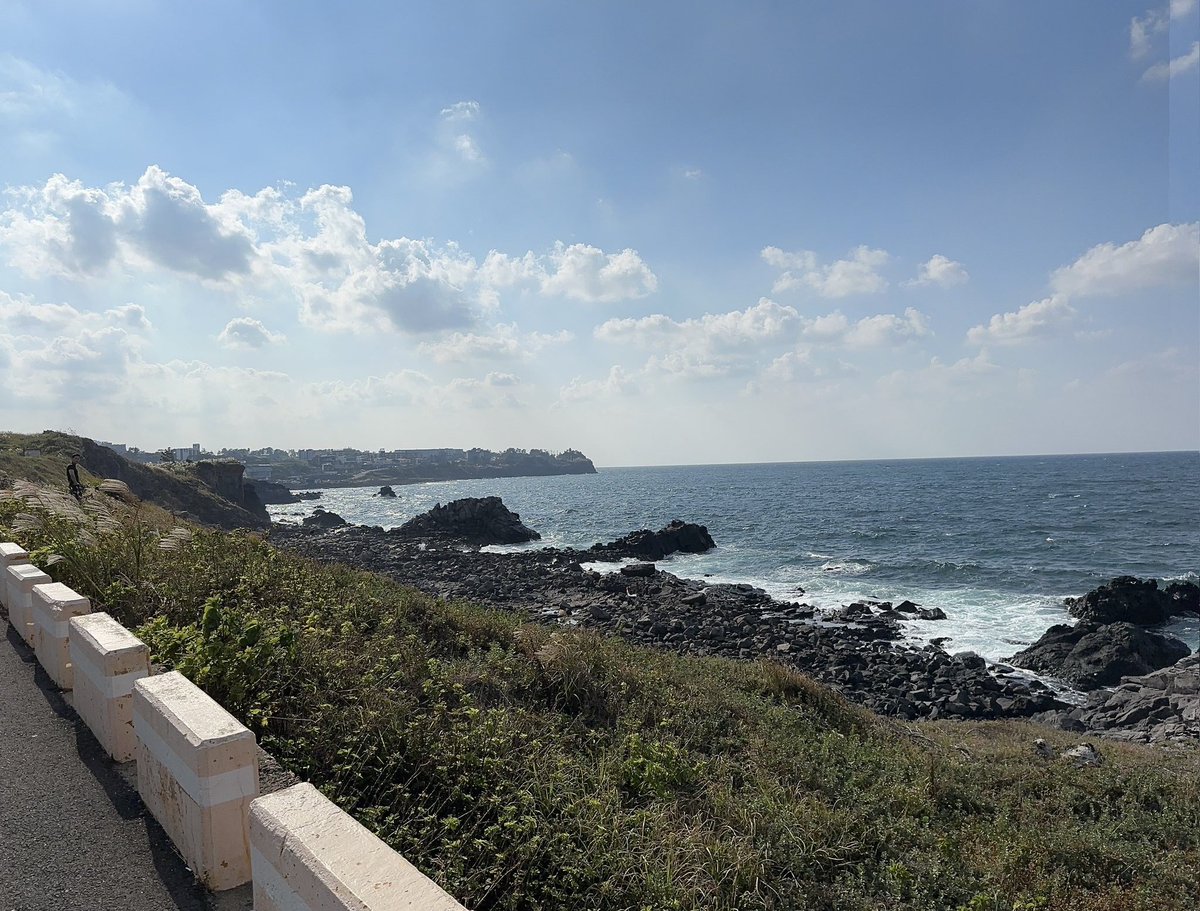 어떤게 평범한 삶일까?
#섹트