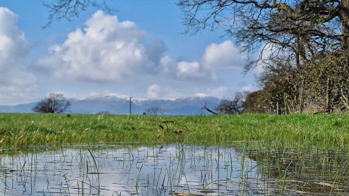 cdimages tweet media