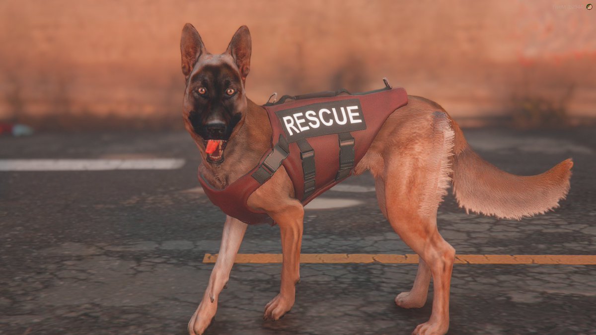 TeamAstures's tweet image. Buen domingo