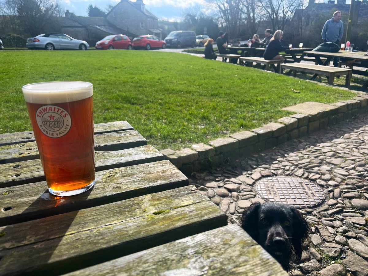 Quick one up #malhamcove #cockerspaniel