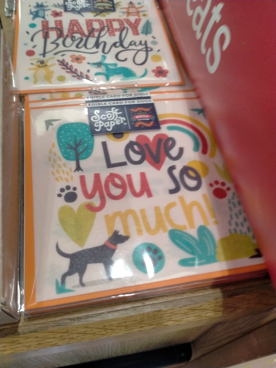 LoveBulldog's tweet image. Spotted out and about #dragonsden #aldi #petsathome