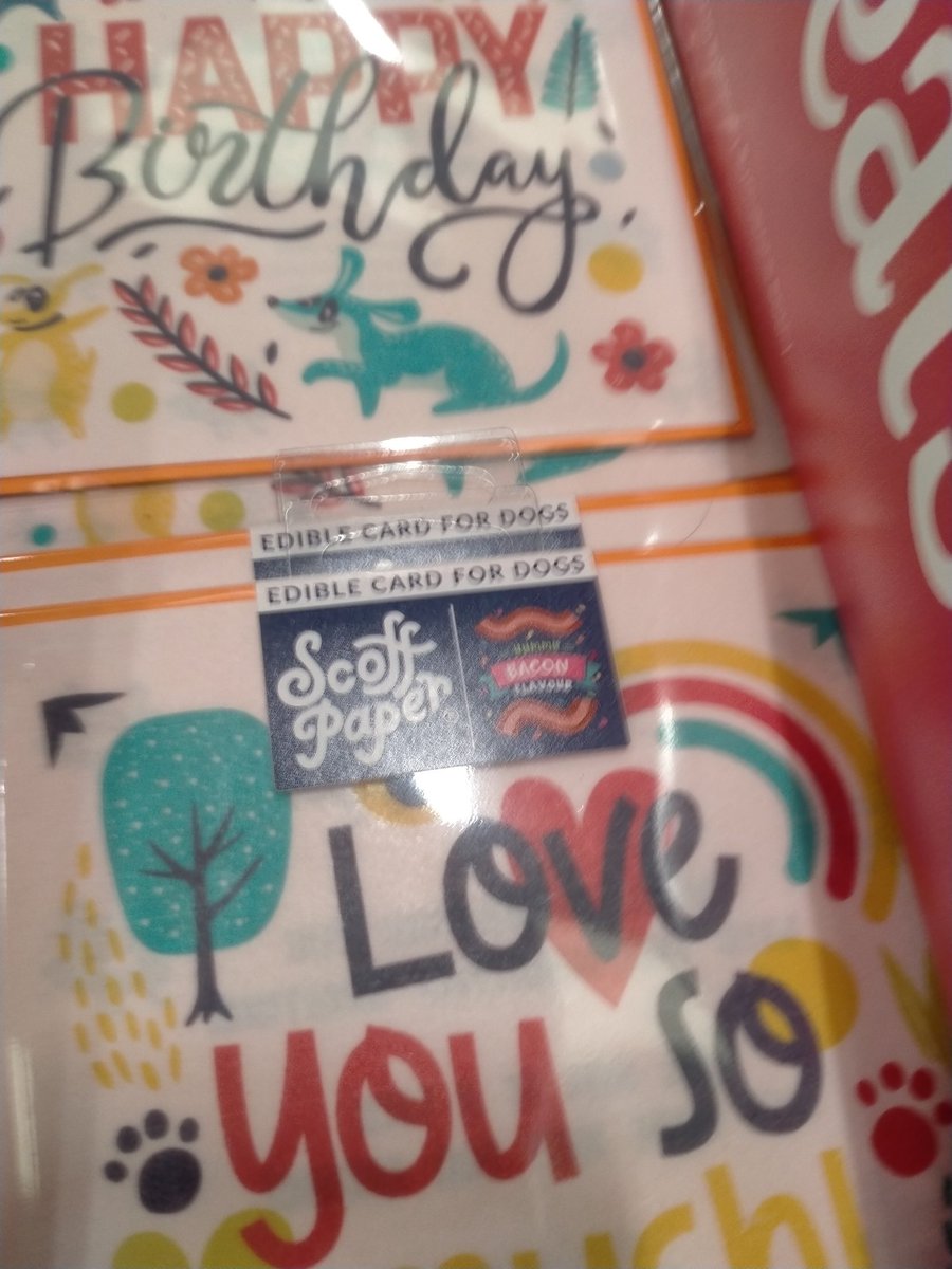 LoveBulldog's tweet image. Spotted out and about #dragonsden #aldi #petsathome