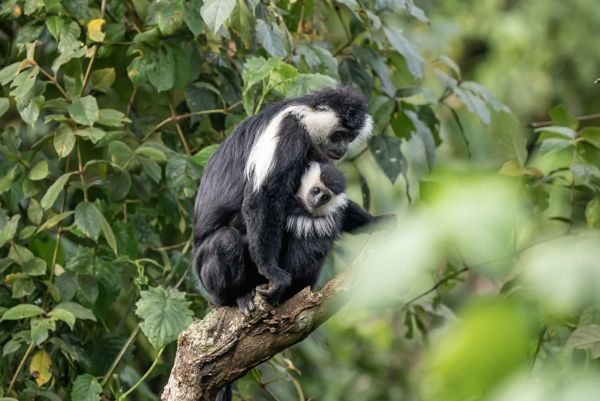 NyungwePark tweet picture