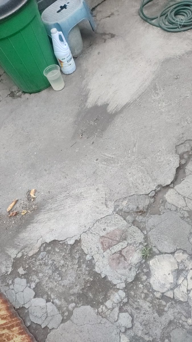 marissanru's tweet photo. @MariLoliPellon buen día Mari Loli, que tengas excelente Domingo, la ceniza que acabo de barrer en el patio de mi casa! https://t.co/kVOrRkwAdC