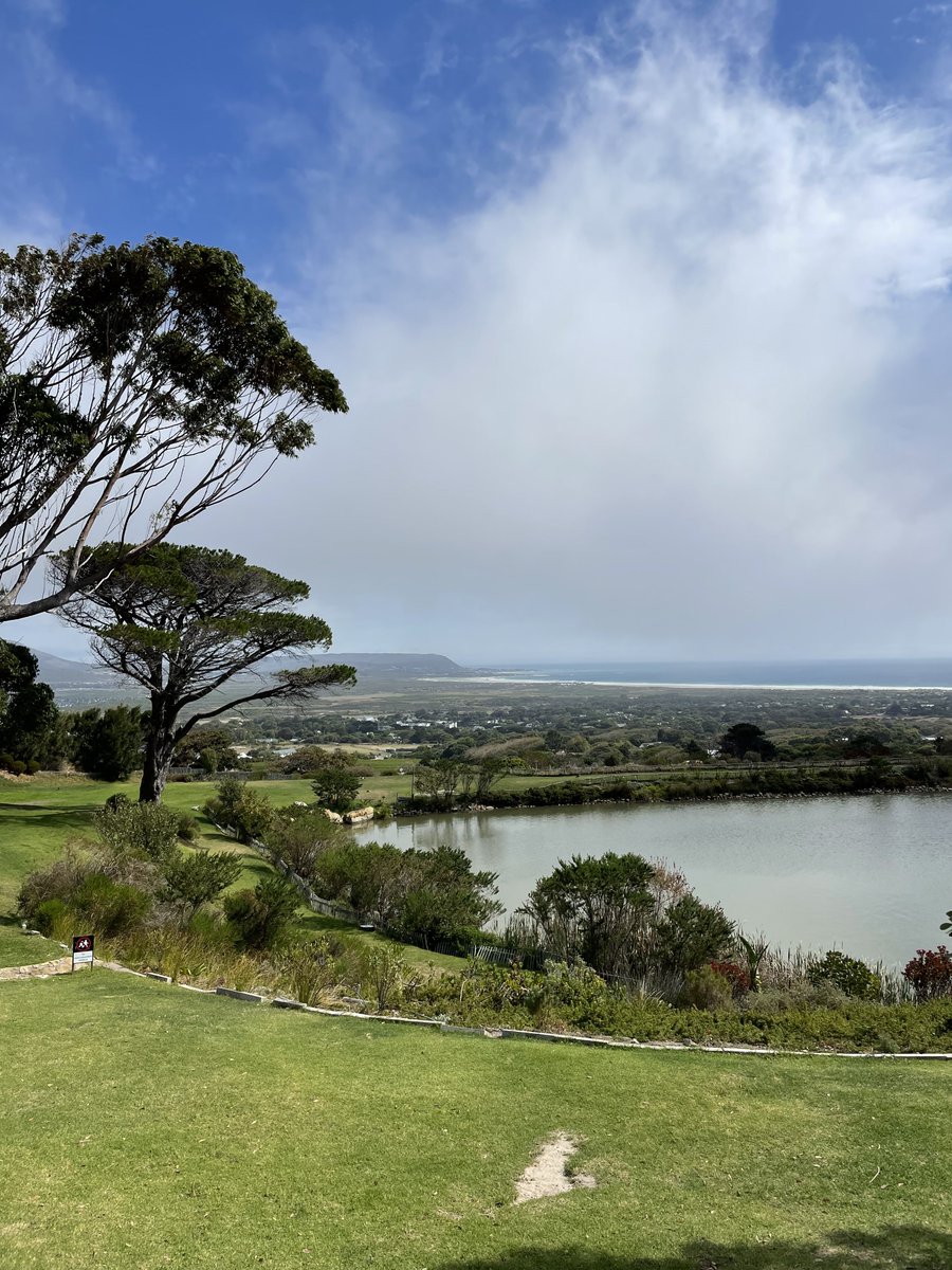 CapeTownFresh's tweet photo. A picturesque afternoon @CPVineyards For #Fresh2024 The perfect setting for an afternoon of drinks, acoustic sounds and gorgeous small plates! https://t.co/7lyqjFTMuT
