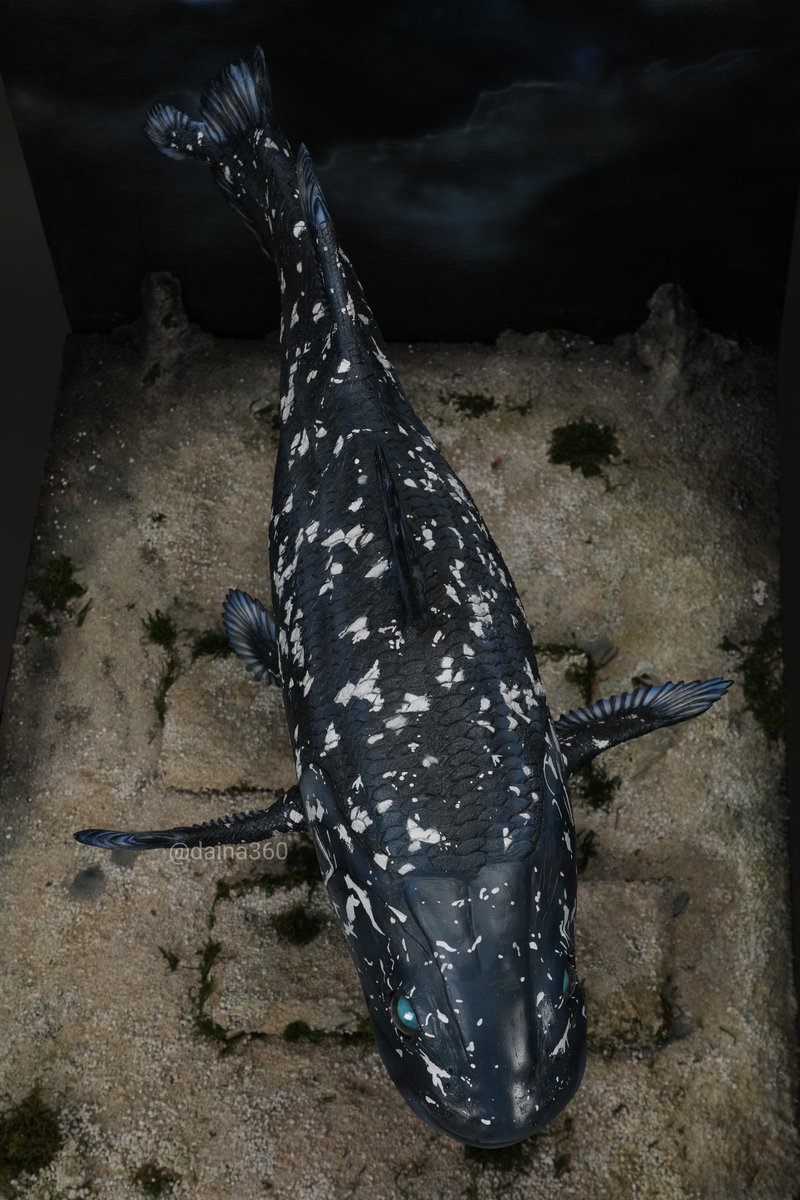 coelacanth