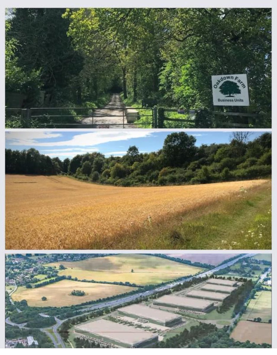JustADormouse's tweet photo. On #WorldWildlifeDay2024 pls spare 5 mins to support objections by the Tree Officer &amp; Biodiversity Officer to this huge warehouse application:
23/03120/FUL by emailing
planning.comments@basingstoke.gov.uk.
Please do this small thing for our biodiversity &amp; RT 🐞🐛🦟🪲🪳🌱🌳 https://t.co/11tnCI8kpA