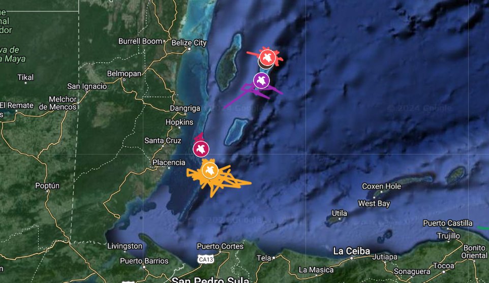 MarAlliance tweet media