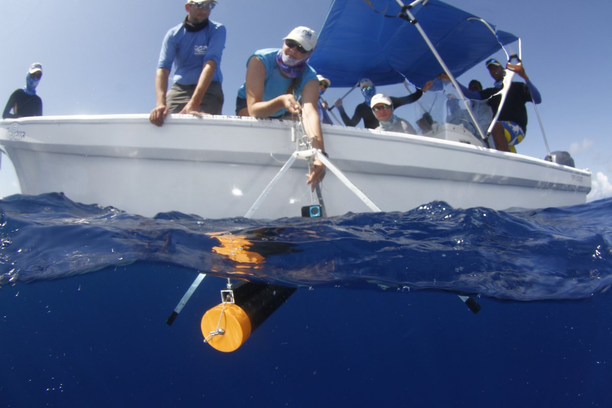 MarAlliance tweet media