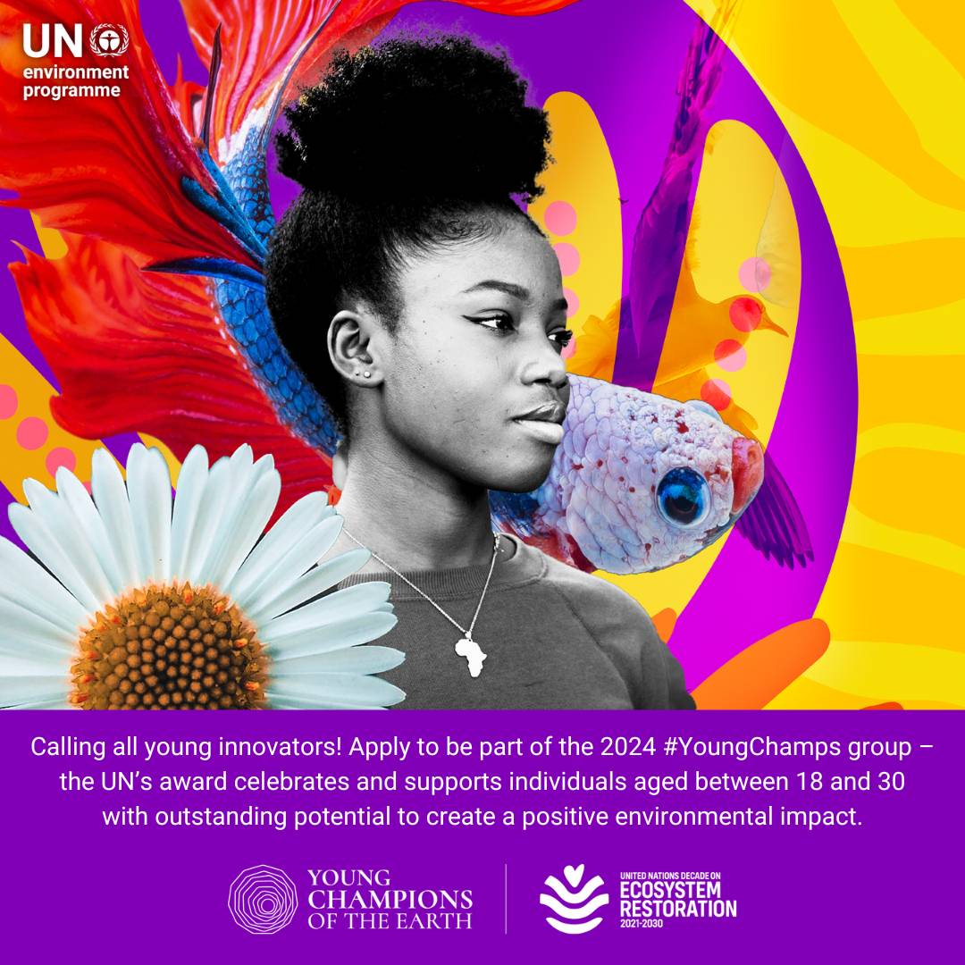 Young people are taking bold steps for nature and sustainability.

That’s why the UNEP's #YoungChamps will again this year recognize and support these innovators.

Applications are open until 5 April. Eligibility details: unep.org/youngchampions…