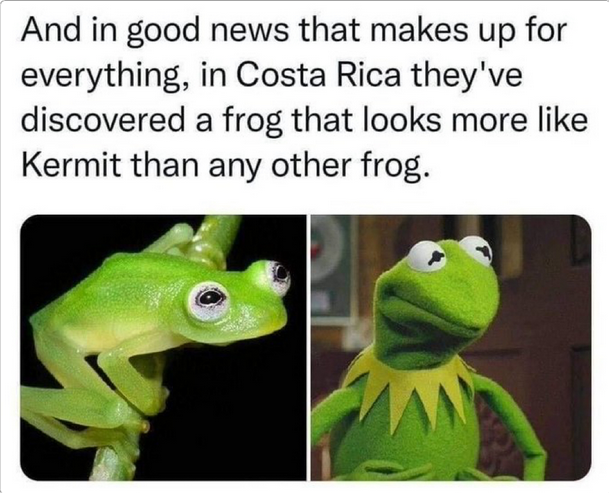 Gubbins1969's tweet photo. Finally, some Good news 😊 https://t.co/og0xAUNMQX