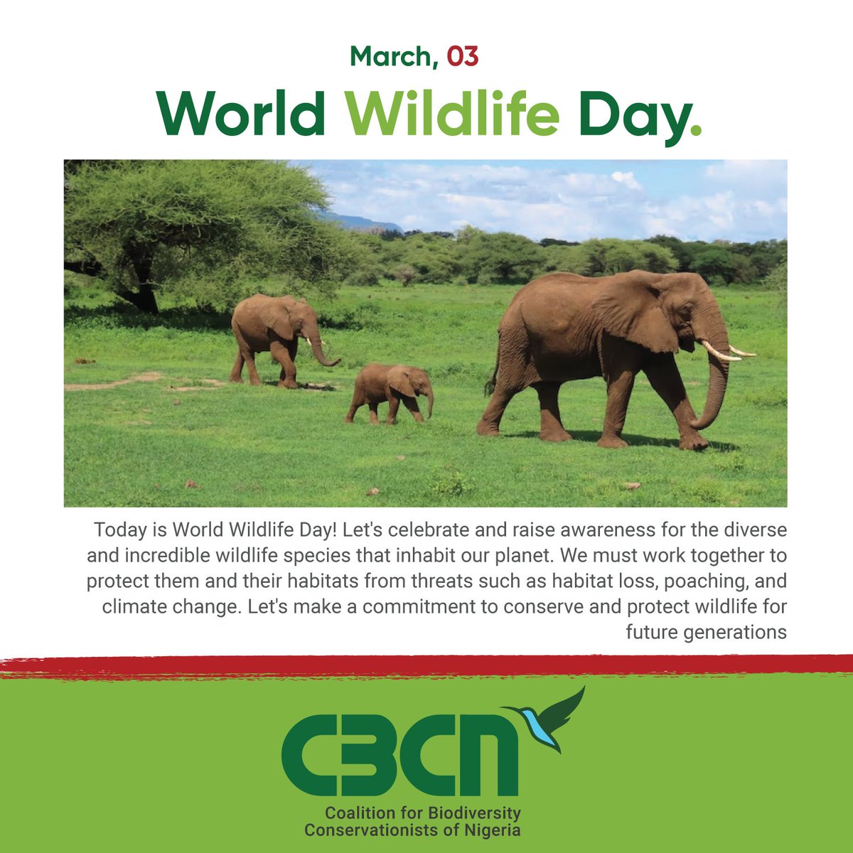 Happy #WorldWildlifeDay! 
Celebrate biodiversity and protect our natural heritage. Let's ensure a thriving future for all wildlife.🌿 🐘