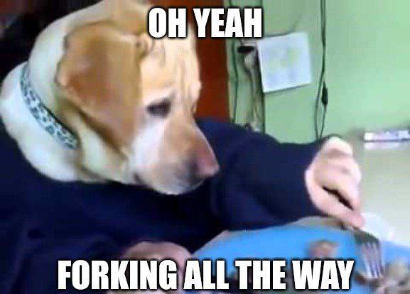 DogWifFork $FORK tweet media