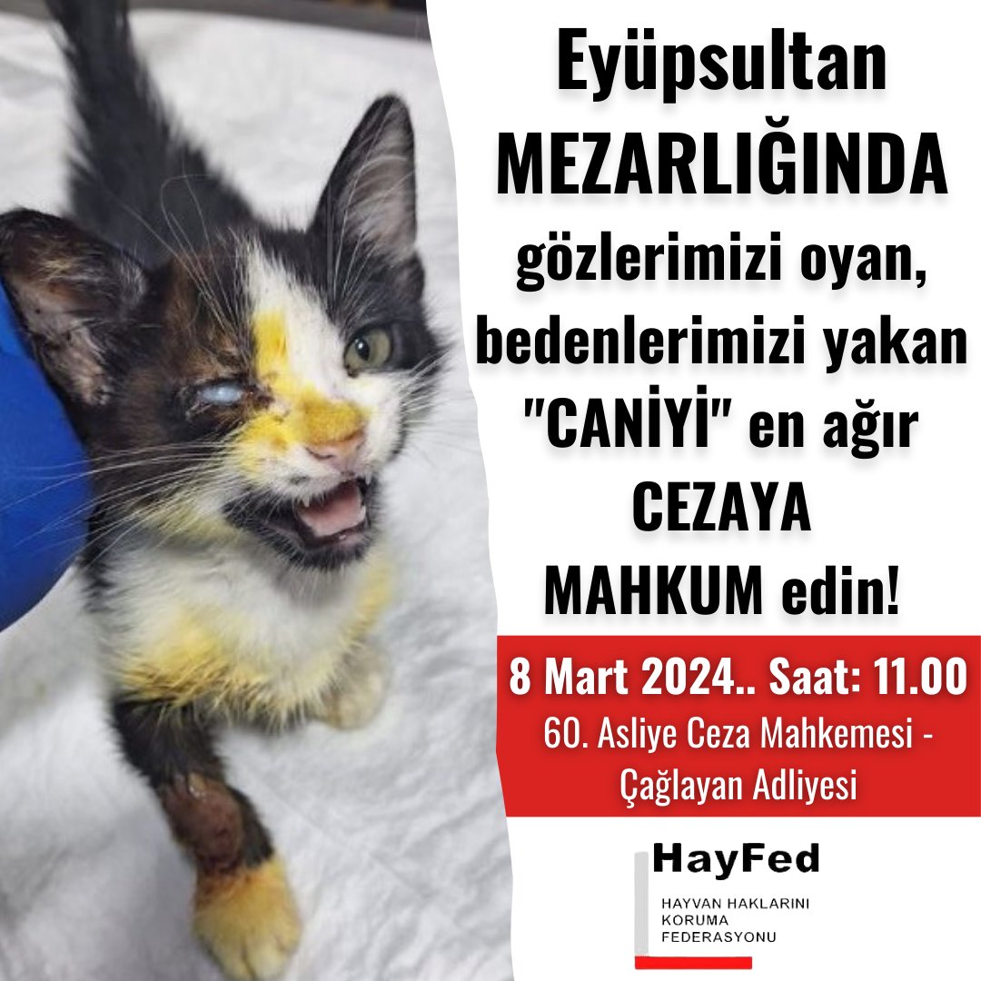 Nihal_K34's tweet photo. Eyüpsultan MEZARLIĞINDA gözlerimizi oyan, bedenlerimizi yakan  "CANİYİ" en ağır CEZAYA MAHKUM edin!
📌Duruşma: 8 Mart 2024.. Saat: 11.00 
60. Asliye Ceza Mahkemesi - Çağlayan Adliyesi
#muratozdemirtutuklansin
#erosiçinadalet
#Efeicinadalet 
@adalet_bakanlik https://t.co/6hk91RAFvi