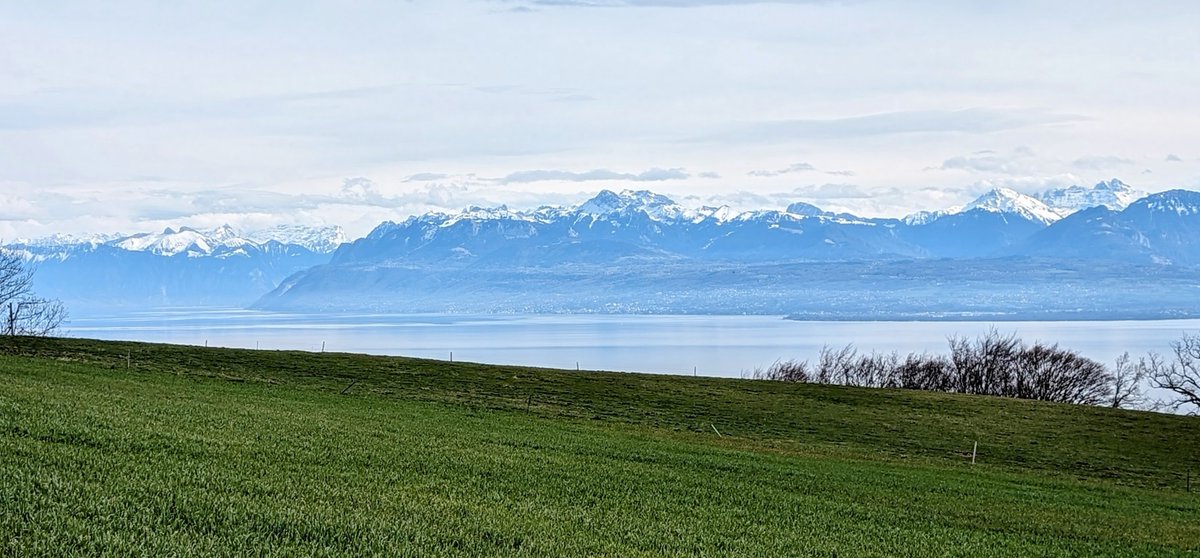 stackhodler's tweet image. #Bitcoin looked like it was heading for a new all-time-high on Wednesday until Coinbase acted like a circuit breaker.

Did Coinbase do someone a favor?

Was someone&apos;s short getting blown out as BTC rocketed from $57K -&amp;gt; $64K in a matter of hours?

Who knows.

But what we do know…