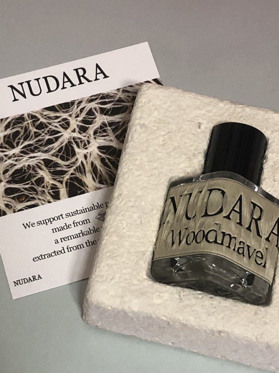 드디어 위시였던 향수를 샀다 💭✌🏻