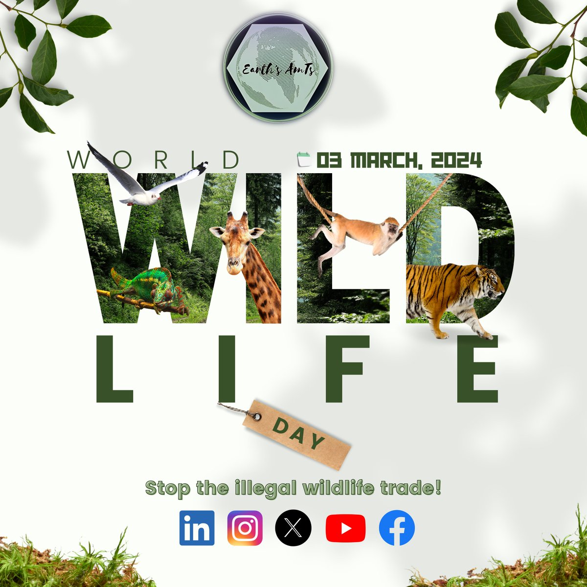 Today, on World Wildlife Day, we celebrate the incredible diversity of life on Earth and explore the ways digital innovation is helping us connect with and protect it. #wildlife #worldwildlifeday #wildlifeplanet #wildlifeconservation #earthsantsorg